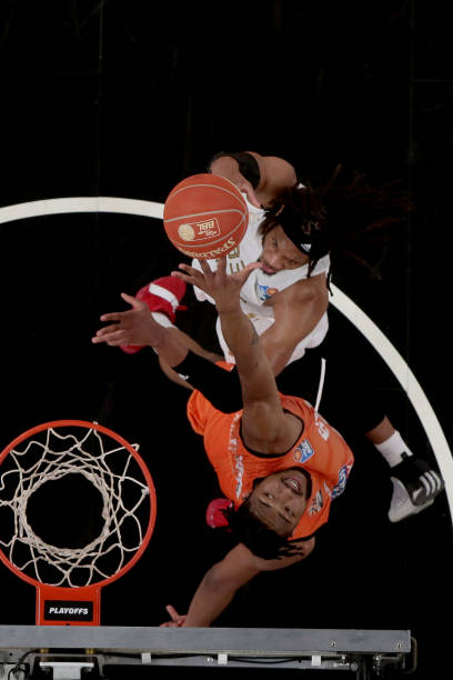 也再次证实 也再次证实