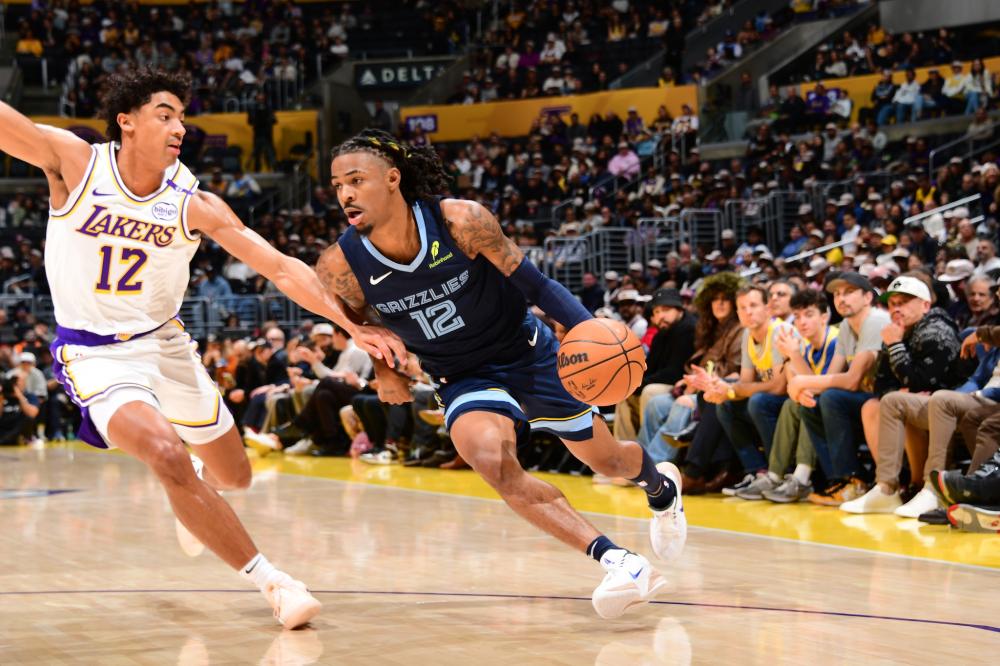 群体对篮球 群体对篮球